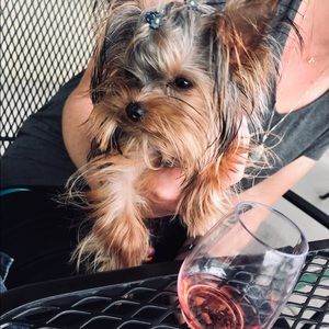 Meet your Posher, Misha